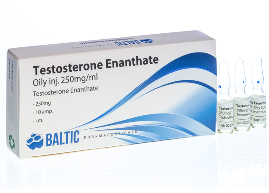 Testosterone enanthate Baltic pharmaceuticals