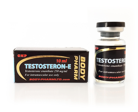 Testosteron enantan Body pharm